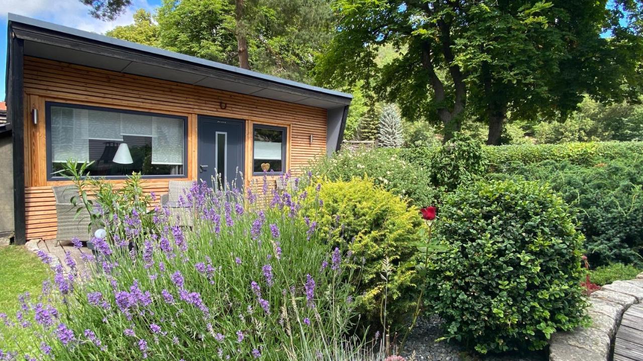 Das Ferienhaus Am Tiergarten Villa Wernigerode Exterior foto